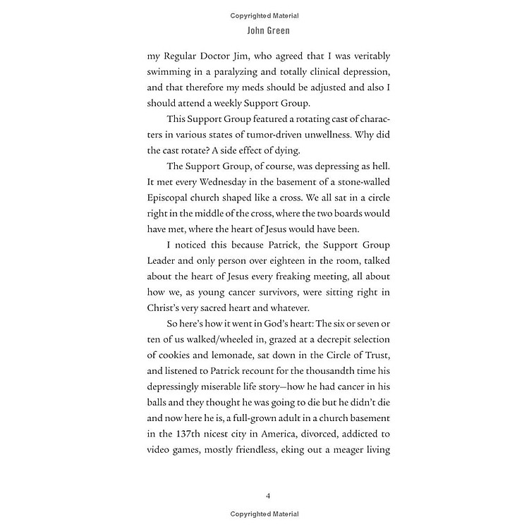 The Fault In Our Stars - Ảnh 4