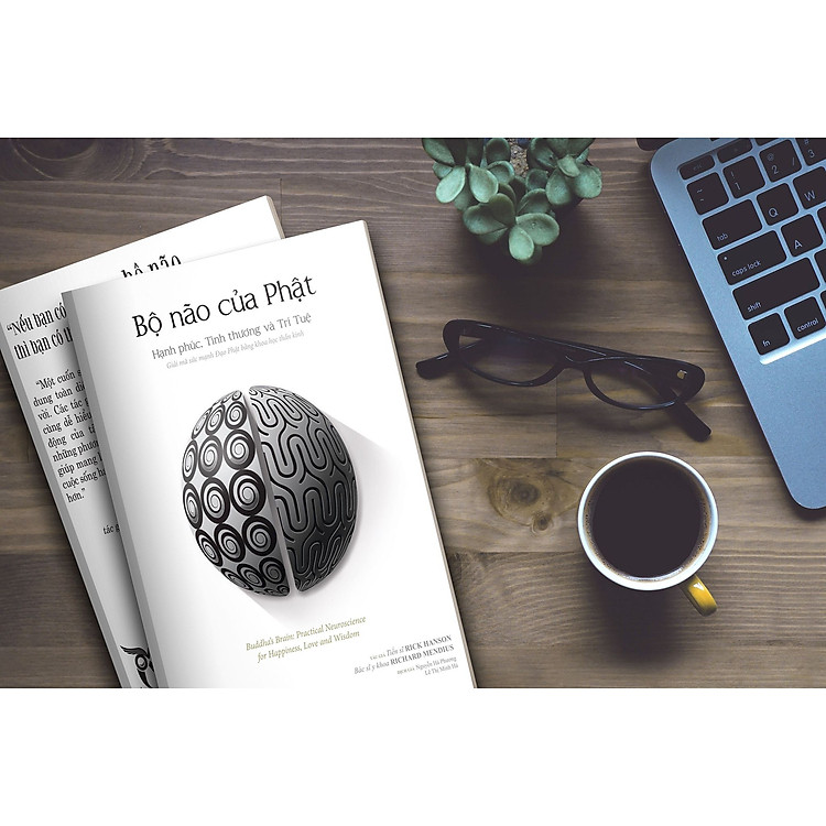 Bộ Não Của Phật - Ảnh 4