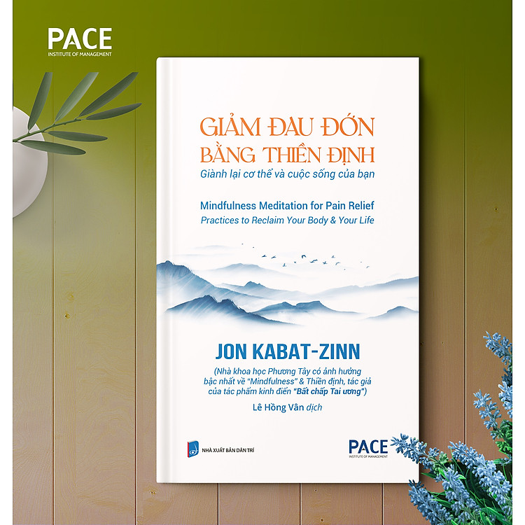 Giảm Đau Đớn Bằng Thiền Định - Ảnh 7