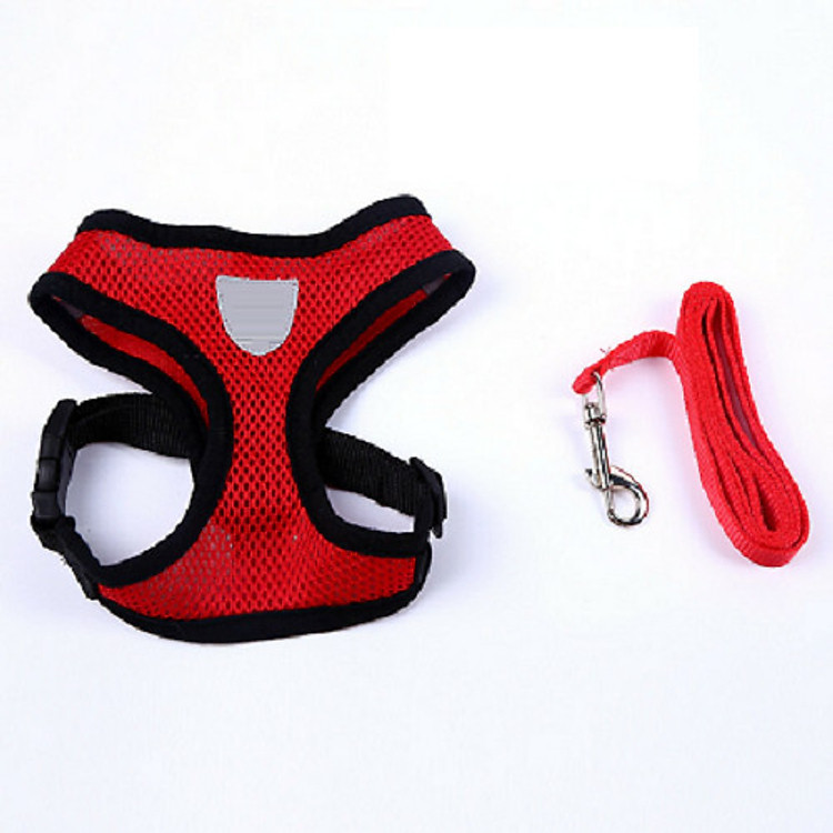 ĐAI YẾM DẮT CHÓ