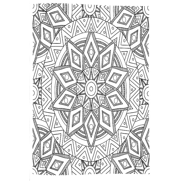 Enchanting Adult Colouring Series: Book 1 - Ảnh 7
