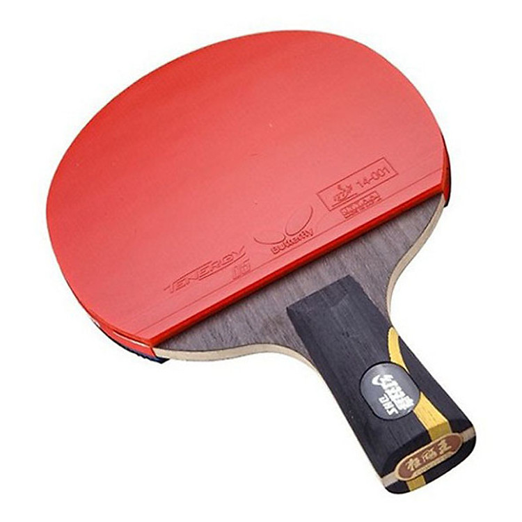 Vợt bóng bàn DHS Hurricane