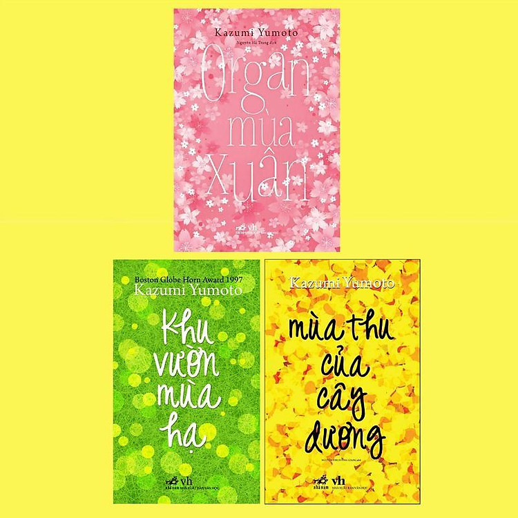 Mùa Thu Của Cây Dương (TB 2024) - Ảnh 4