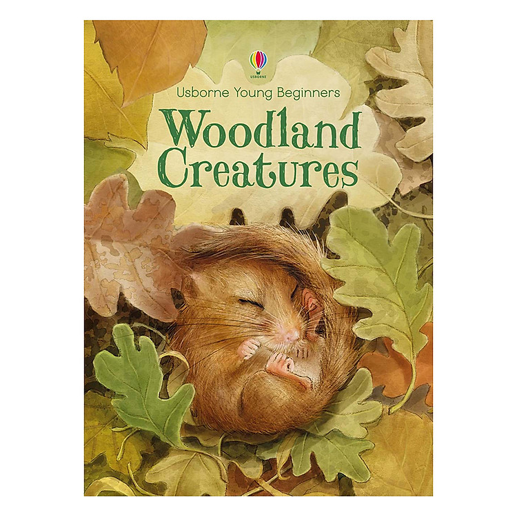 Sách Usborne Young Beginners Woodland Creatures