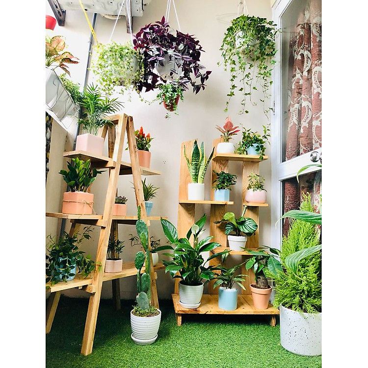 Kệ để chậu hoa cây cảnh trong nhà gỗ thông tự nhiên kích thước 80cmx50X25CM