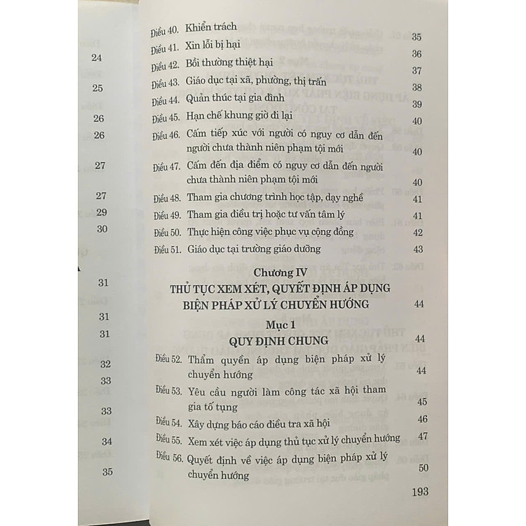 Luật Tư pháp Người Chưa Thành Niên Năm 2024 - Ảnh 7