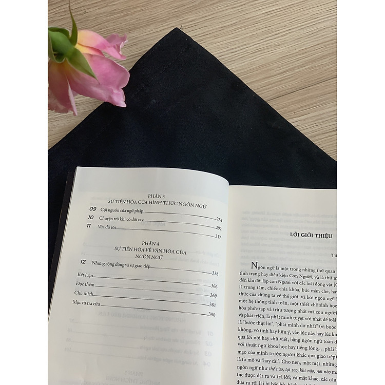 Cuộc Phiêu Lưu Của Ngôn Ngữ Anh - Ảnh 4