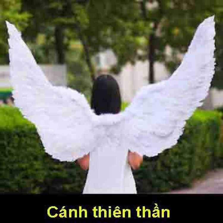 (10 LOẠI) CÁNH THIÊN THẦN HÓA TRANG COSPLAY
