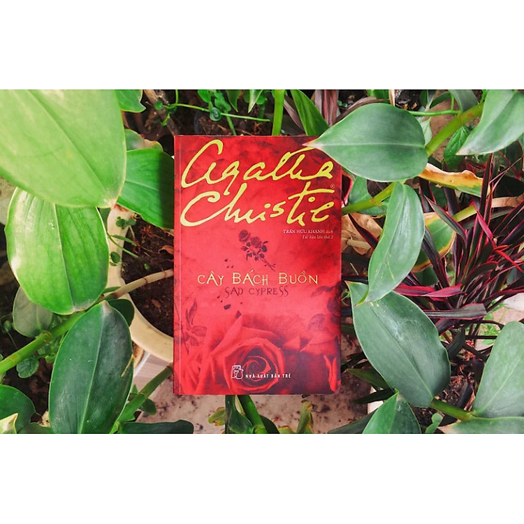 Cây Bách Buồn (Tái Bản Mới Nhất) - Ảnh 2