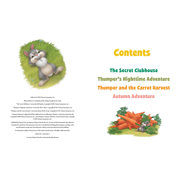 5-Minute Disney Bunnies Stories - Ảnh 4