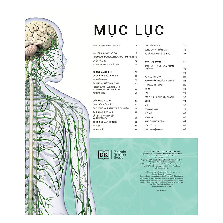 Não Chúng Ta Có Gì Và Làm Gì? - Ảnh 5