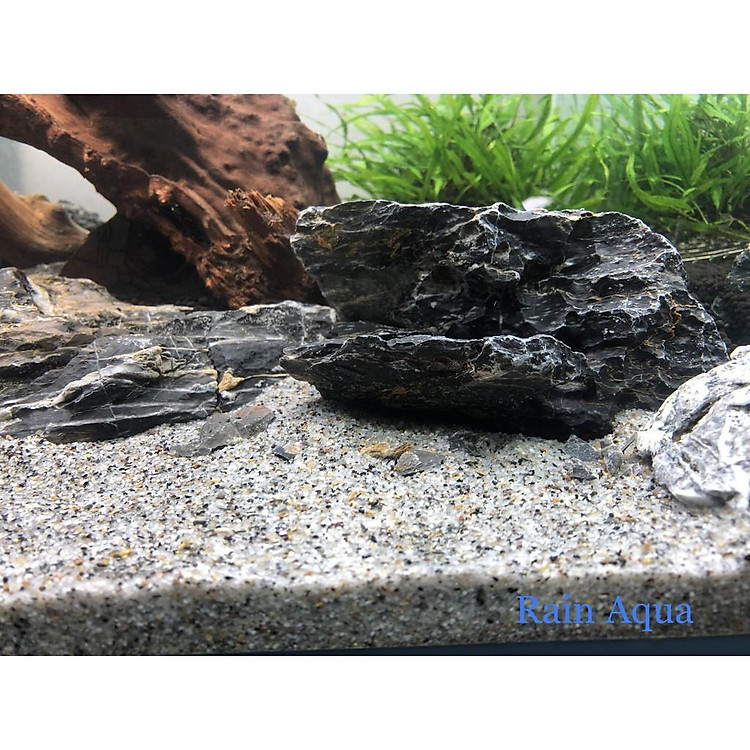 Cát Muối Tiêu 1kg - Trải Nền Trang Trí Bể Cá, Bể Thủy Sinh