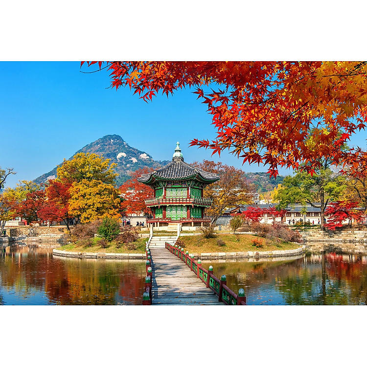 Mua Bộ tranh xếp hình 1500 mảnh Hàn Quốc Chính hãng Tiết kiệm - Hình ảnh 2