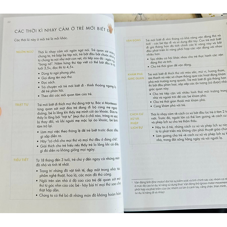 Em Bé Tập Đi Montessori 1-3 Tuổi - Ảnh 3