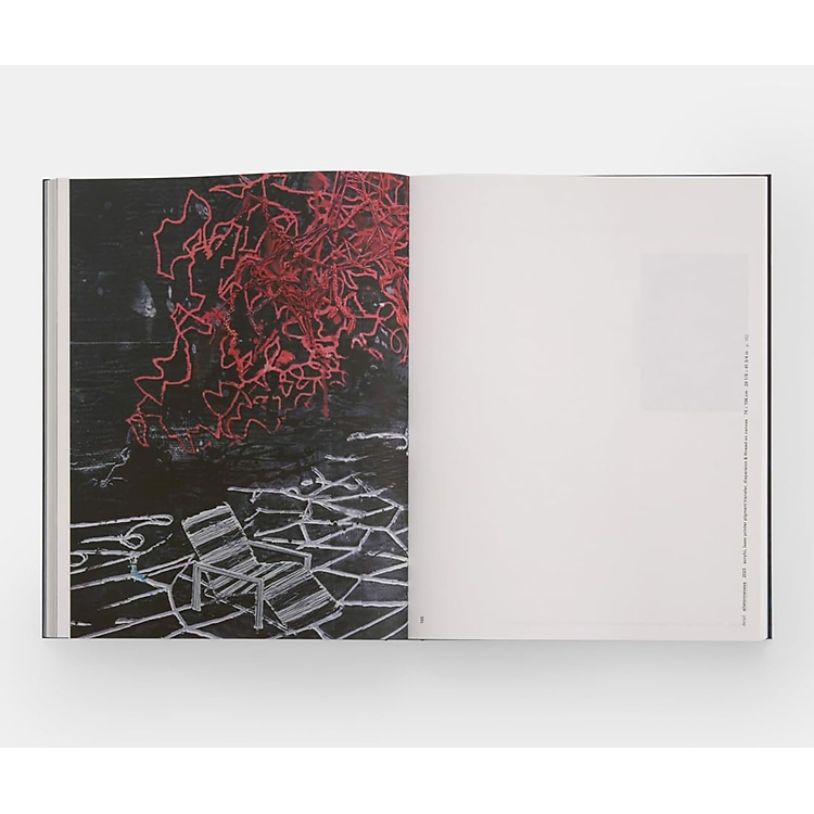 Artbook - Sách Tiếng Anh - Michael Raedecker - Ảnh 6