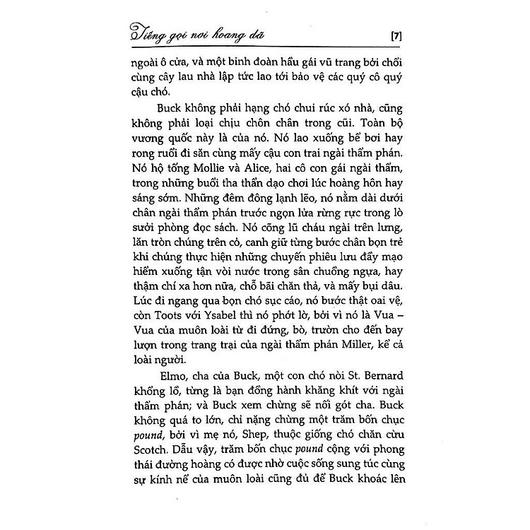 Tiếng Gọi Nơi Hoang Dã - Ảnh 4