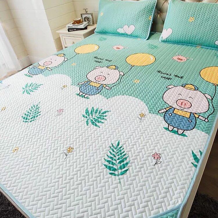 Chiếu Điều Hòa Tencel Mẫu 2019