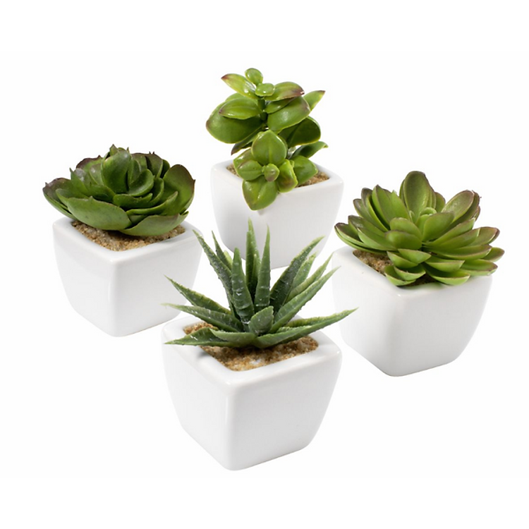 Combo 2 Cây Trang Trí Haakon Nhựa Gốm 5 x 5 x 9cm