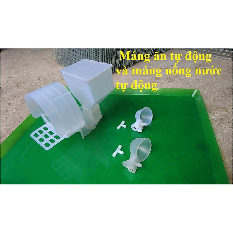 Combo 5 Máng ăn tự động cho chim bồ câu