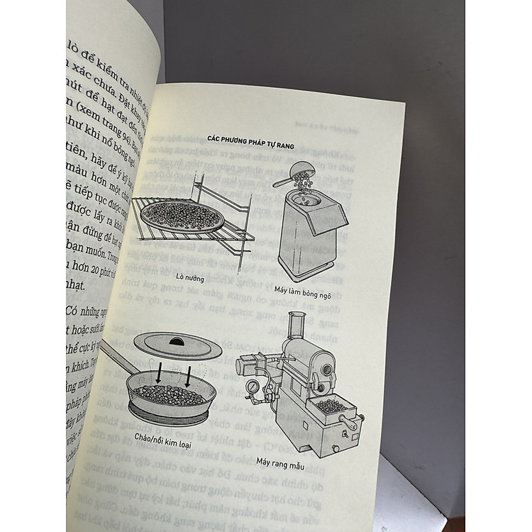 HIỂU HẾT VỀ TRÀ - Ảnh 3