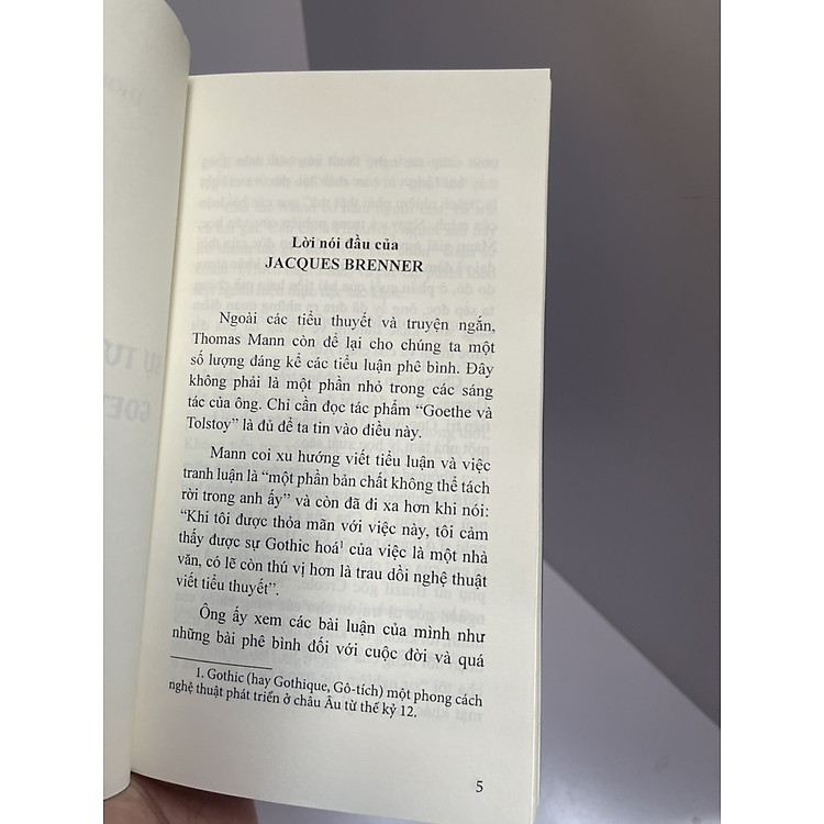 SỰ TƯƠNG ĐỒNG GIỮA GOETHE VÀ TOLSTOY - Ảnh 2