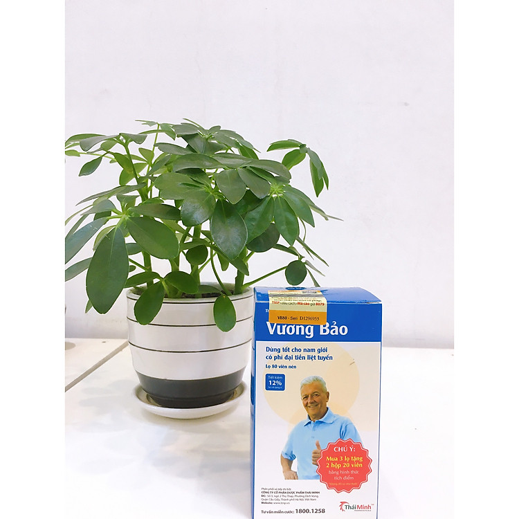 Vương bảo lọ 80 viên