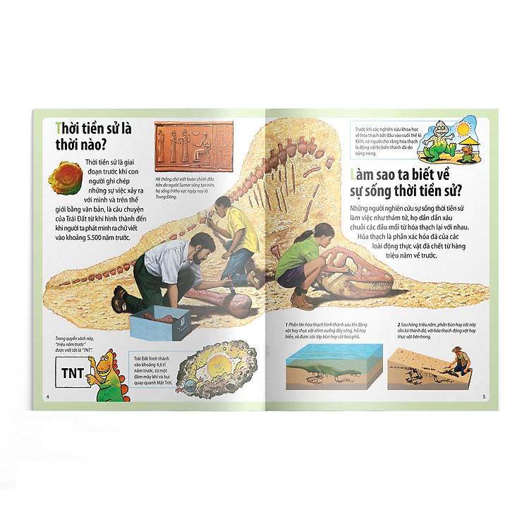 Em Muốn Biết Vì Sao - Cá Mọc Chân Và Những Câu Hỏi Khác Về Thời Tiền Sử - Ảnh 4