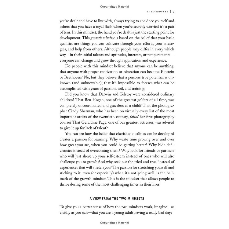Mindset: The New Psychology of Success - Ảnh 7