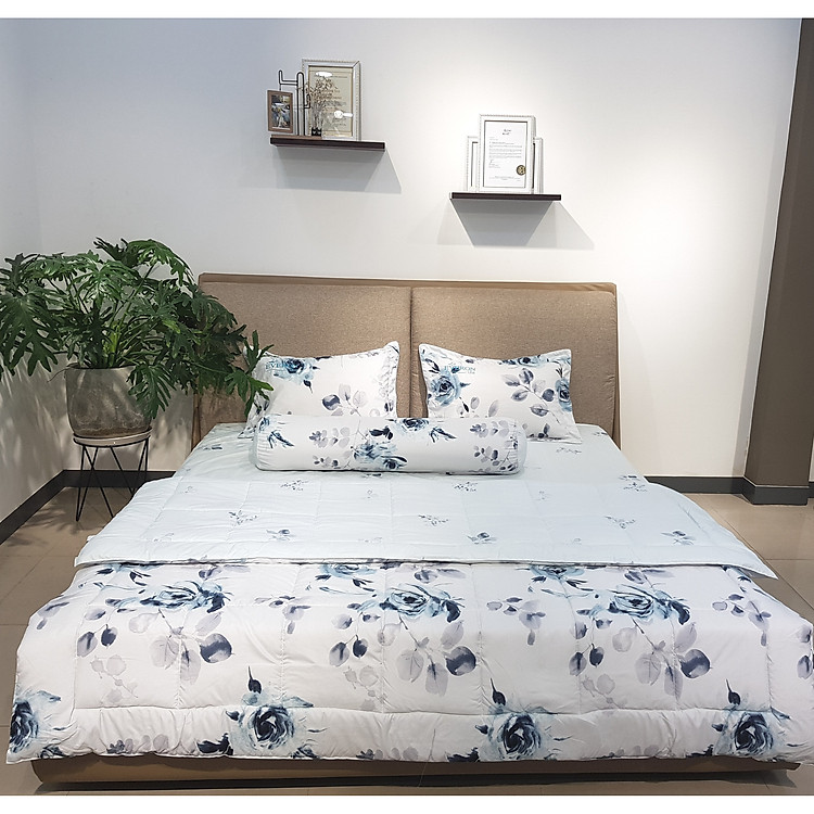 Bộ Ga Bọc Everon Lite ELM016