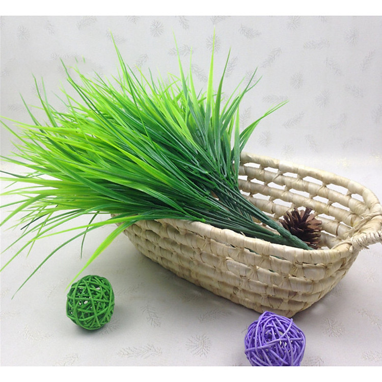 Bụi cỏ lúa màu xanh