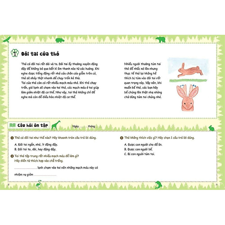 Bồi Dưỡng Kĩ Năng Đọc Hiểu Cho Học Sinh Tiểu Học - Ảnh 4