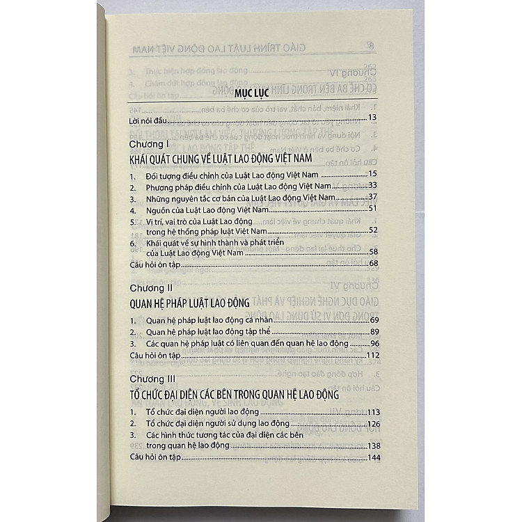 Giáo Trình Luật Lao Động Việt Nam - Ảnh 4