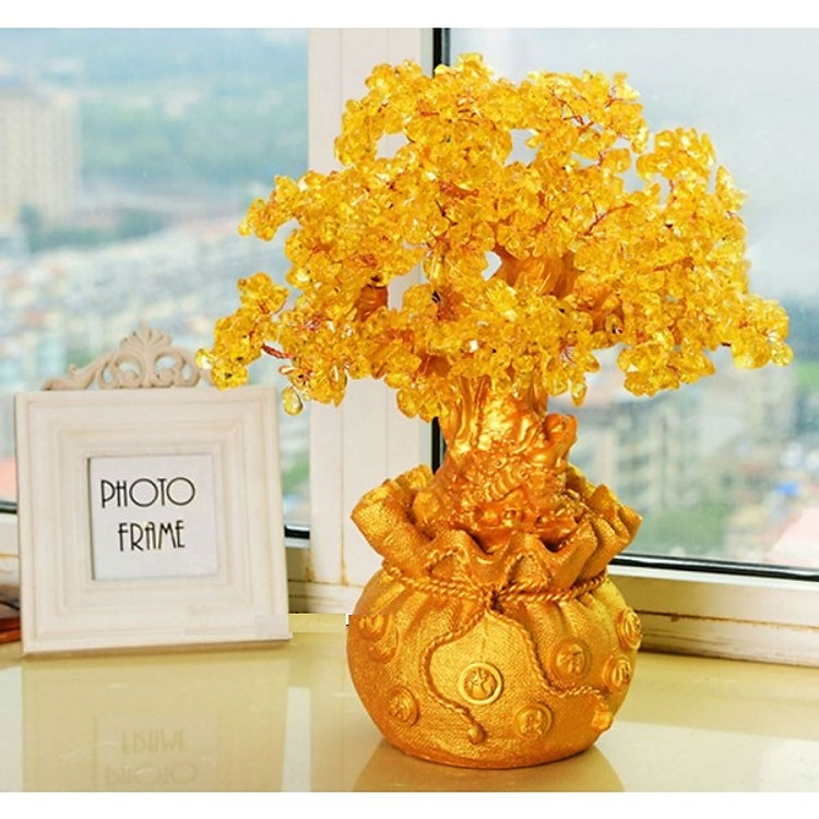 Cây Tài Lộc Vàng (8Cmx18Cm)