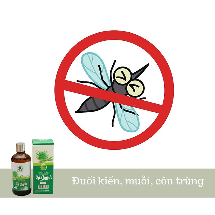 Tinh dầu tràm Huế và sả chanh 100ml Chính hãng Giá rẻ - Hình ảnh 4