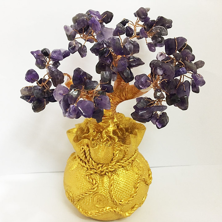 Cây Phát Tài cho người mệnh Thủy