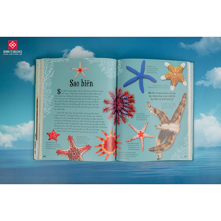 Bách khoa thư kỳ thú về Vũ trụ - Ảnh 7