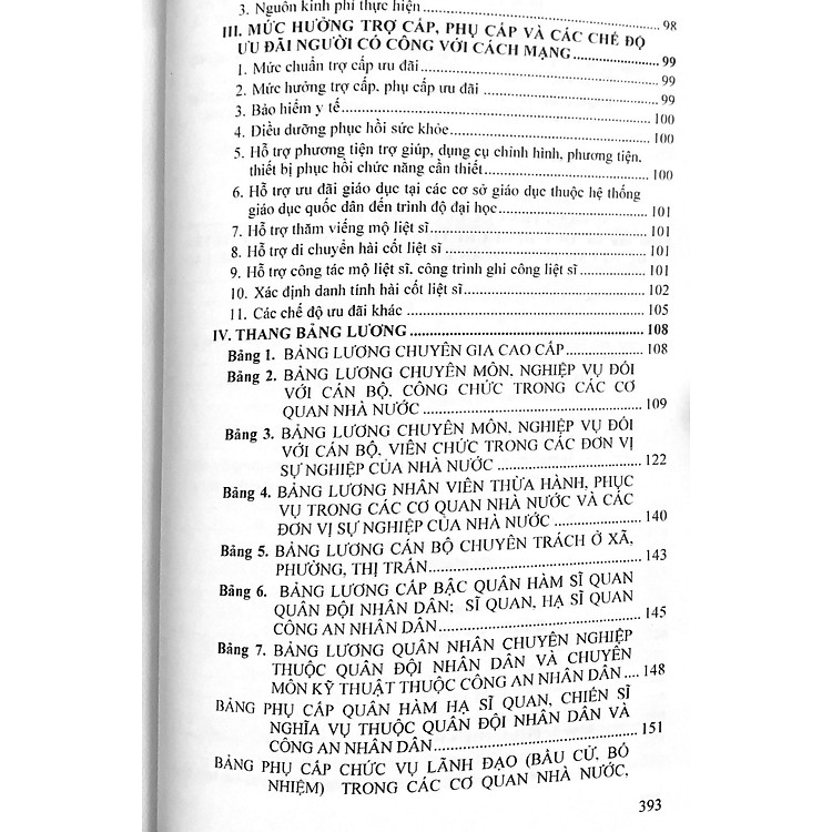 Bộ luật Lao động và Hệ thống thang bảng lương, phụ cấp, chế độ tiền lương, tiền thưởng đối với người hưởng lương - Ảnh 4