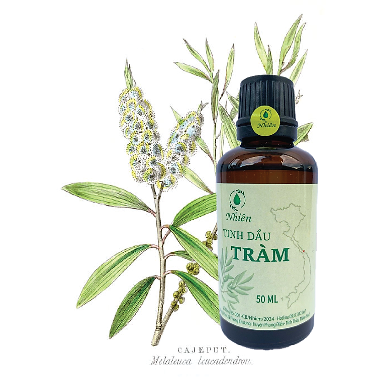 Tinh dầu tràm Huế 50ml cho trẻ Chính hãng Giá rẻ - Hình ảnh 5