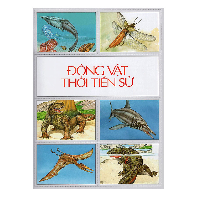 Tủ Sách Tri Thức Bách Khoa Bằng Hình - Thế Giới Động Vật (Tái Bản) - Ảnh 3
