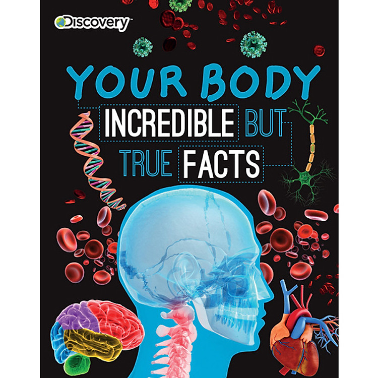Sách Discovery Your Body