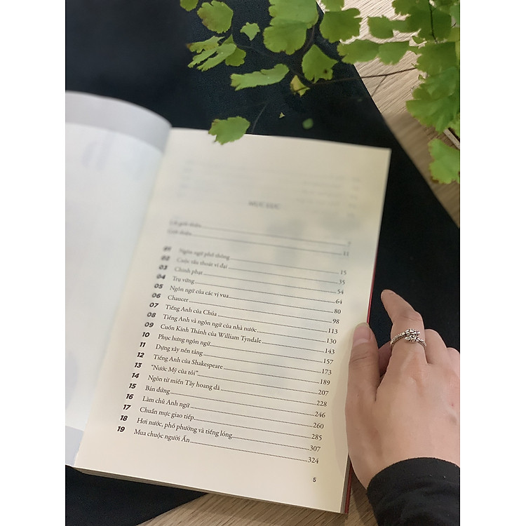 Cuộc Phiêu Lưu Của Ngôn Ngữ Anh - Ảnh 5