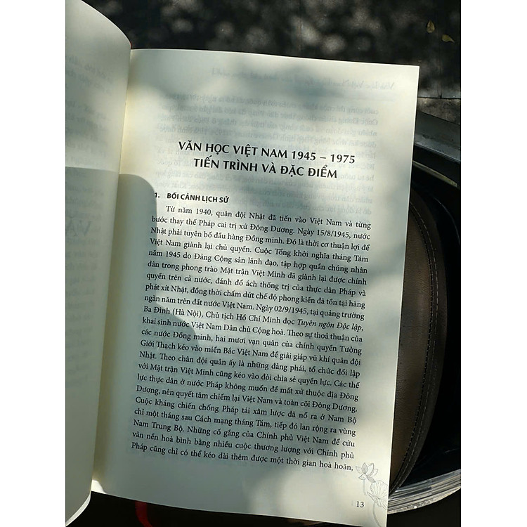 VĂN HỌC VIỆT NAM HIỆN ĐẠI - Ảnh 3