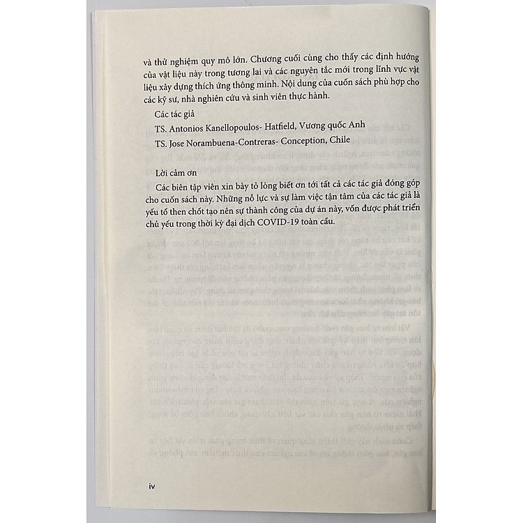 Vật Liệu Xây Dựng Tự Hàn Gắn - Các Lý Thuyết Cơ Bản, Quan Trắc Và Ứng Dụng Quy Mô Lớn - Ảnh 5