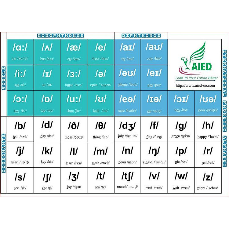 Ngữ Âm Dành Cho Người Bắt Đầu - Ảnh 4