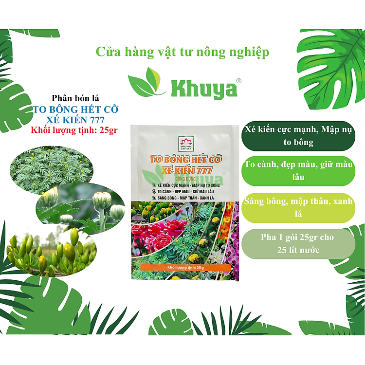 Papaya To Bông Hết Cỡ - Xé Kiến Hoa 777 25gr Phân bón sinh học vi lượng