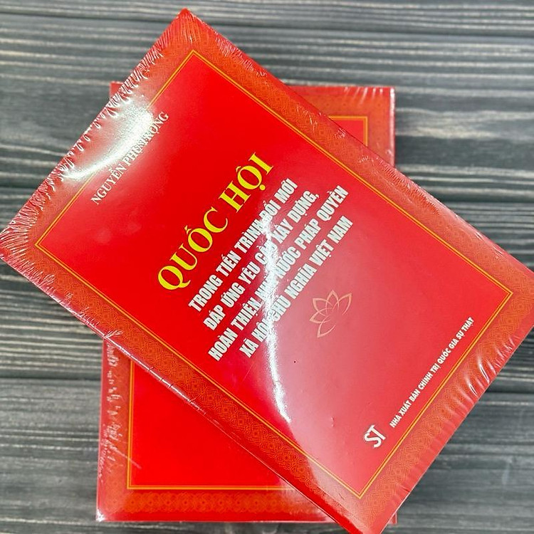 Quốc Hội Trong Tiến Trình Đổi Mới Đáp Ứng Yêu Cầu Xây Dựng, Hoàn Thiện Nhà Nước Pháp Quyền Xã Hội Chủ Nghĩa Việt Nam - Ảnh 3