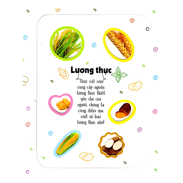 Tương Tác - Lift-The-Flap - First 100 Plants - 100 Từ Đầu Tiên Về Thế Giới Thực Vật (Tái Bản) - Ảnh 2