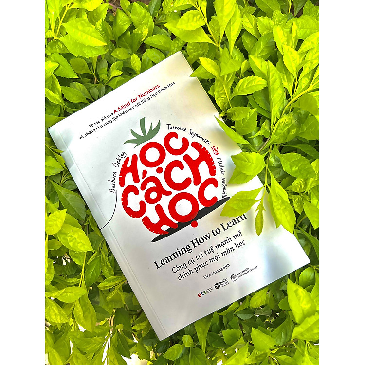 Học Cách Học - Ảnh 4