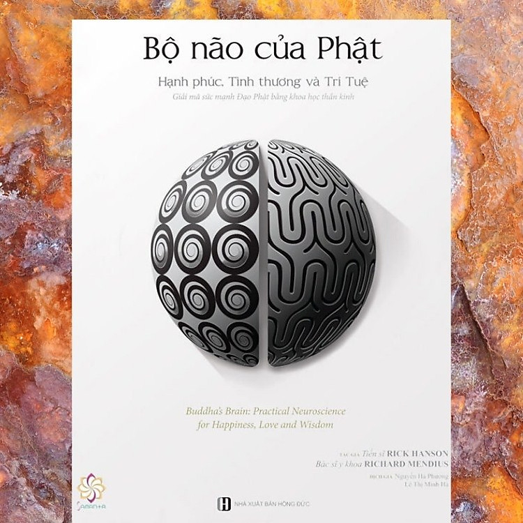 Bộ não của Phật - Ảnh 2