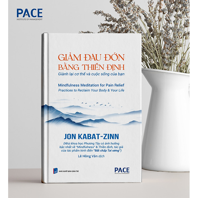 Giảm Đau Đớn Bằng Thiền Định - Ảnh 6